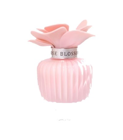 Assala Nasma Rose Blossom – Villard Panamá
